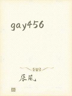 gay456封面