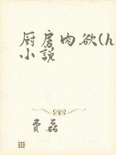 厨房肉欲(h)小说