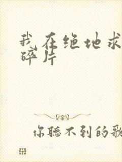 我在绝地求生捡碎片