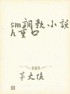 sm调教小说高h重口
