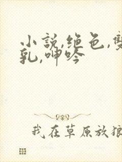 小说,绝色,双乳,呻吟