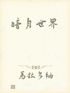 暗月世界