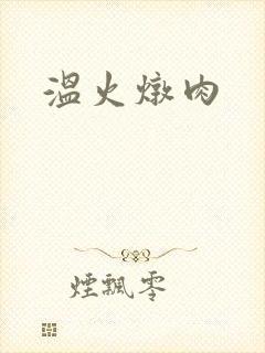温火炖肉封面