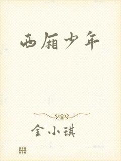 西厢少年
