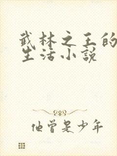 武林之王的退隐生活小说