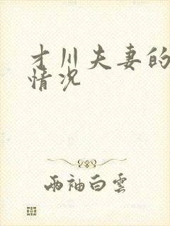 才川夫妻的恋爱情况封面