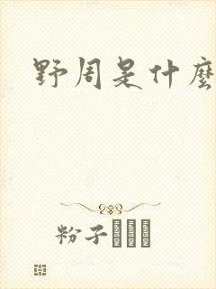 野周是什么意思