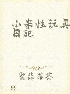 小米性玩具羞辱日记