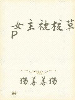 女主被校草们NP