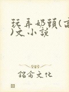 玩弄奶头(高h)文小说