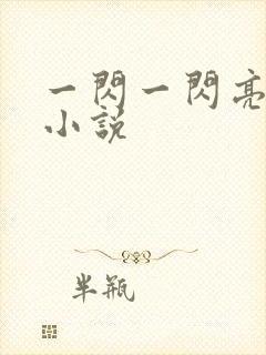 一闪一闪亮星星小说封面