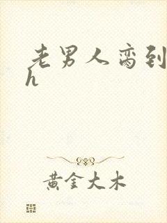 老男人脔到她哭h