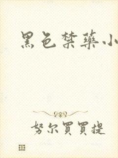 黑色禁药小说