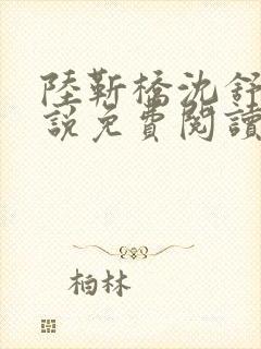 陆靳桥沈舒宁小说免费阅读最新章节