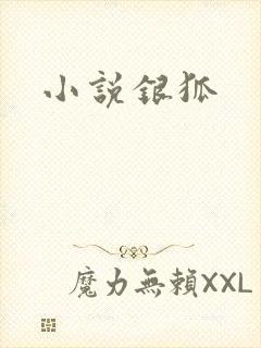小说银狐