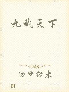 九藏天下