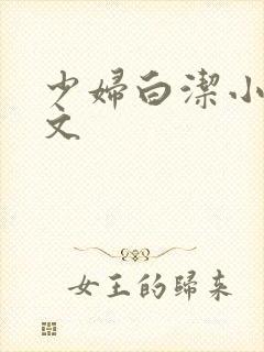 少妇白洁小说全文