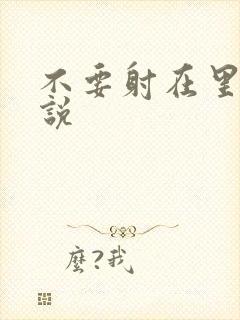 不要射在里面小说封面