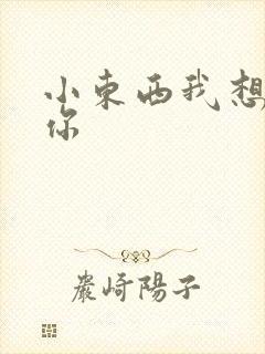 小东西我想弄坏你封面