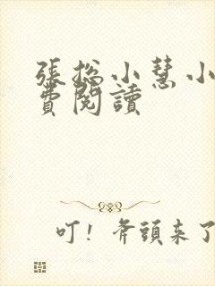 张总小慧小说免费阅读