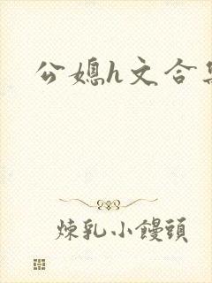 公媳h文合集