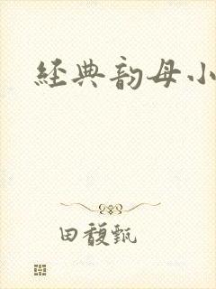 经典韵母小说封面