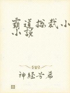 霸道总裁小娇妻小说