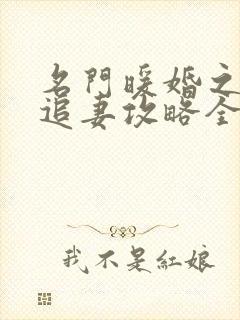 名门暖婚之权爷追妻攻略全文免费阅读