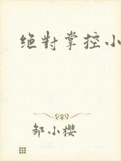 绝对掌控小说封面