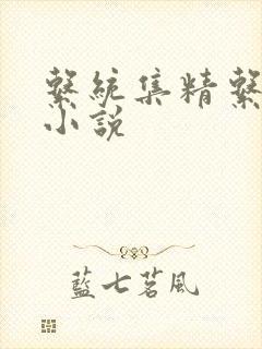 系统集精系统 小说