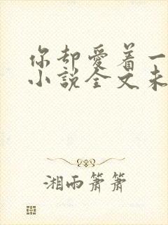 你却爱着一个他小说全文未删减免费封面