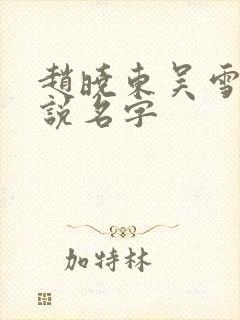 赵晓东吴雪晴小说名字