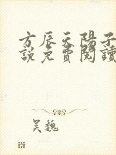 方辰天阳子的小说免费阅读