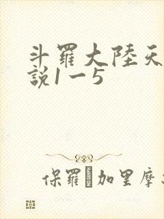 斗罗大陆天狂传说1一5