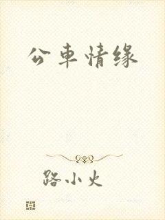 公车情缘封面
