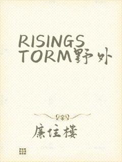 RISINGSTORM野外