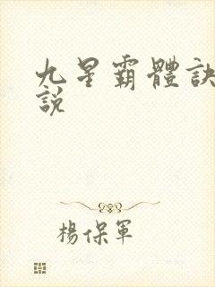 九星霸体诀 小说