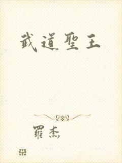 武道圣王