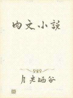 肉文小说