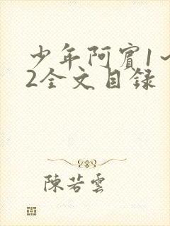 少年阿宾1～72全文目录