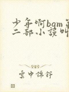 少年啊bgm第二部小说叫什么