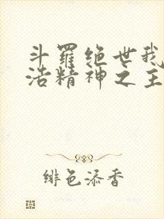 斗罗绝世我霍雨浩精神之主小说封面