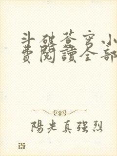 斗破苍穹小说免费阅读全部在线封面