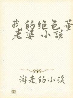 我的绝色董事长老婆 小说