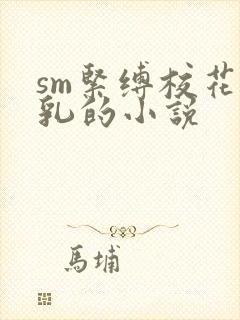 sm紧缚校花双乳的小说