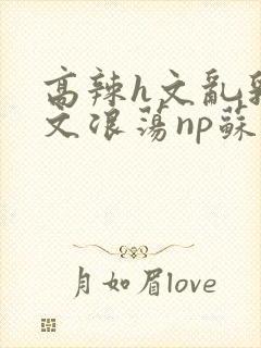 高辣h文乱乳h文浪荡np苏夏