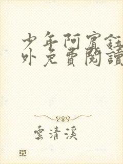 少年阿宾钰慧番外免费阅读