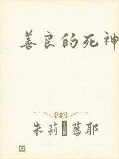 善良的死神小说封面