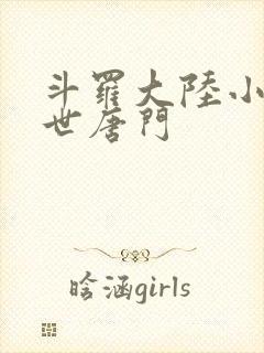 斗罗大陆小说绝世唐门封面