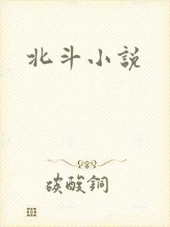 北斗小说封面